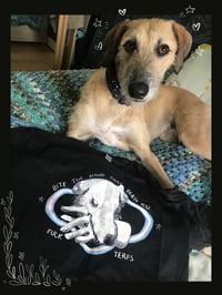 Image 2 of FUCK TERFS Soft Style T-Shirt LAST ONE SIZE S
