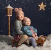 Winter Wonderland - Christmas Mini Session