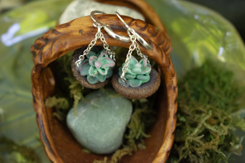 Image of Succulent Fairy Pots Earrings 