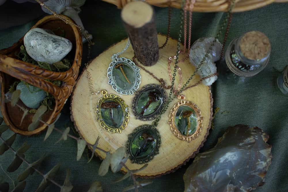 Image of Fern + Mushrooms Necklace