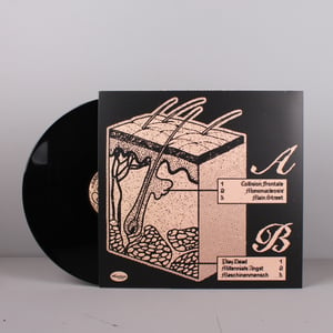 Gym Tonic - Sanitary Situations LP