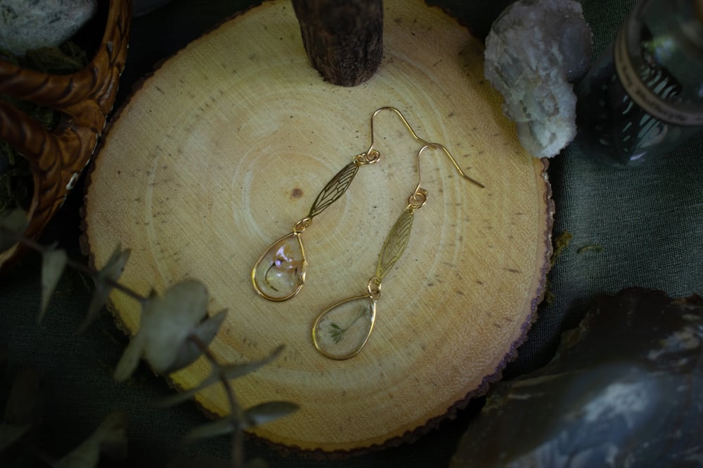 Image of Fairy Wing Earrings