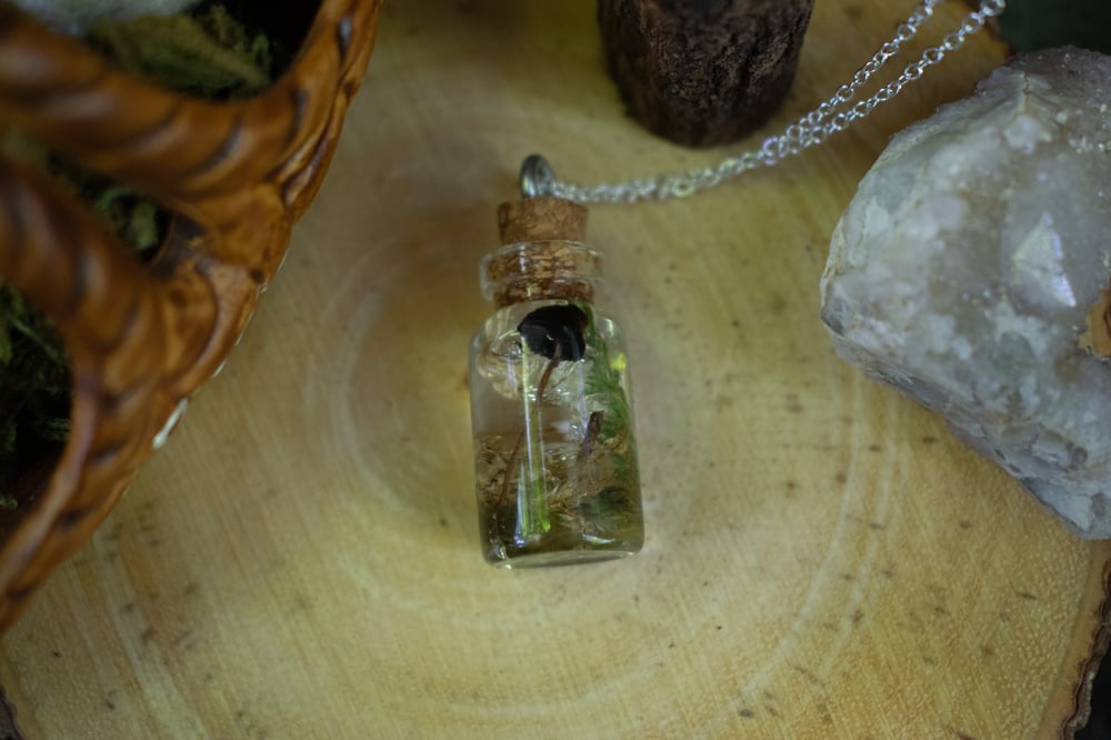 Image of Mushroom + Moss Bottle Necklace