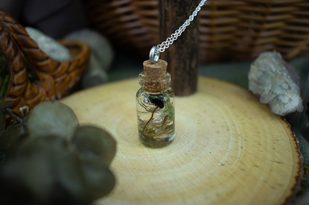 Image of Mushroom + Moss Bottle Necklace