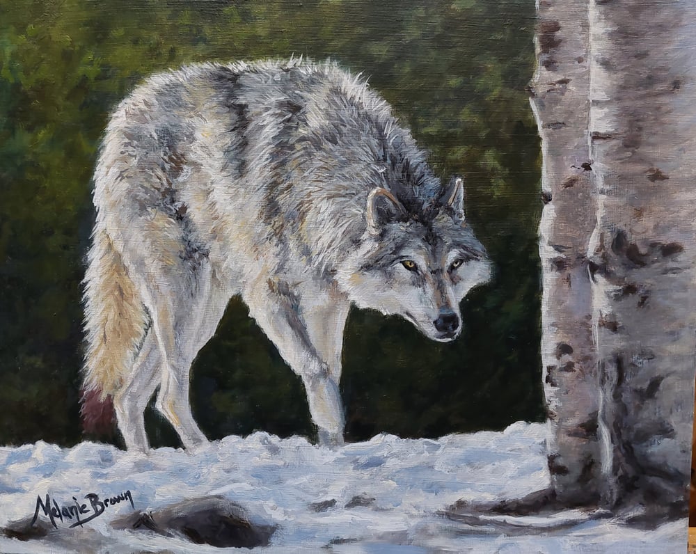 Image of "Wolf" 8"×10"