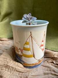 Image 1 of Ghost Echeveria in Sailboat Mug