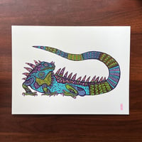 Image 1 of Iguana