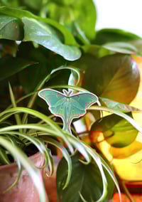 Image 4 of Luna Moth Holographic Sticker