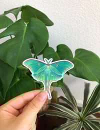 Image 3 of Luna Moth Holographic Sticker