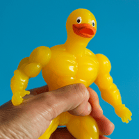 Image 3 of HE DUCK 