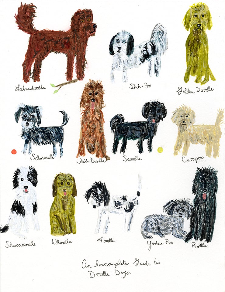 Image of An incompete guide to doodle dogs. Limited edition print.
