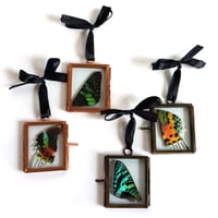 Image 1 of Sunset Moth Solo Wing Mini Hanging Decoration