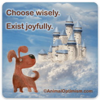 Dog: Choose wisely. Exist Joyfully.