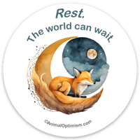 Fox: Rest. The world can wait.