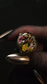 Image 5 of Ladybird scene brass jumbo ring