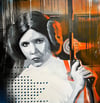 Princess Leia - Starwars Tribute