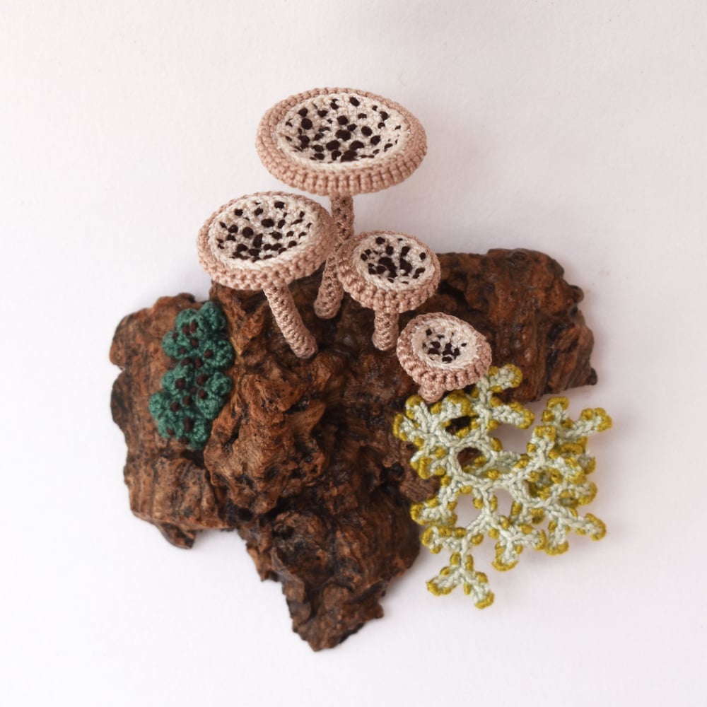 Image of Lichen and fungi wall piece