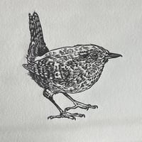 Image 2 of Wren 