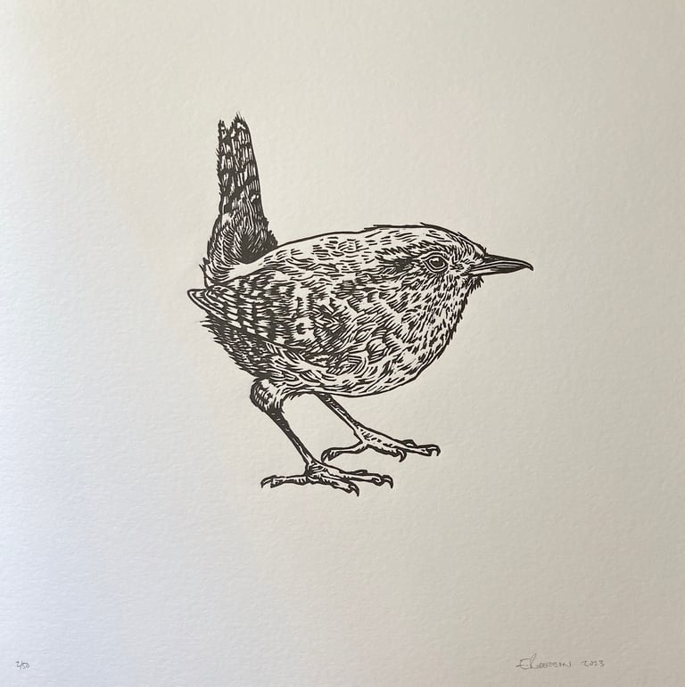 Wren Image 3