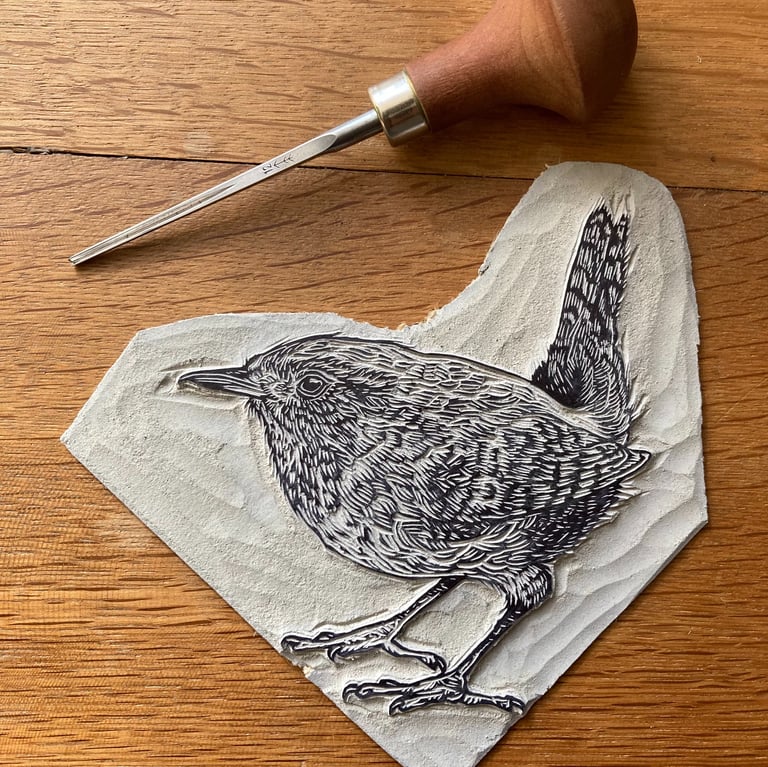 Wren Image 4