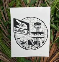 Shark Valley 