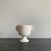 Mini White Cup
