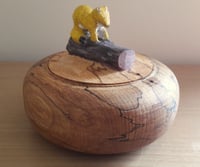 Image 1 of Locking lid box with Stoat