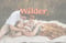 Image of Wilder Presets Vol. 1