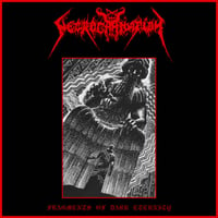 Image 1 of Necrocarnation - Fragments of Dark Eternity - LP