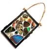 Butterfly & Moth Wing Glass Hanging Frame II