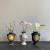 Summer Fruits Illustrated Vases