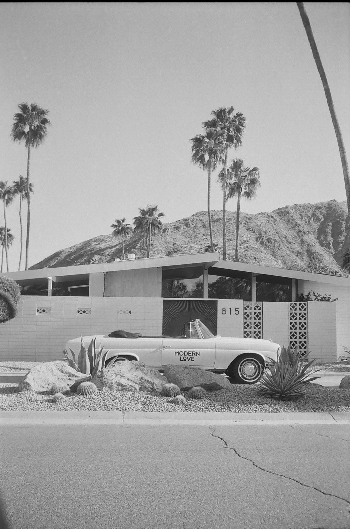 Image of Palm Springs by Johann Rucker 11x14 Ready To Frame Print