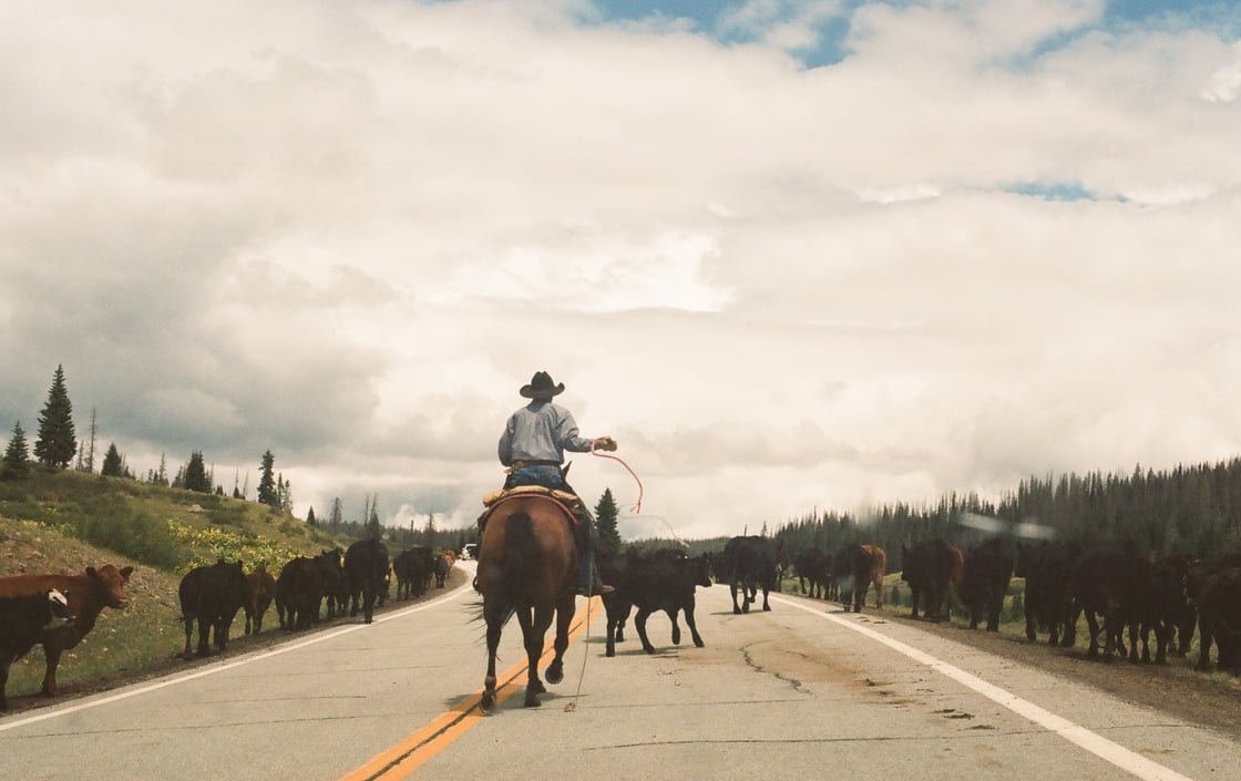 Image of Concrete Cowboy by Spencer Truman Ready To Frame 11x14 Print 