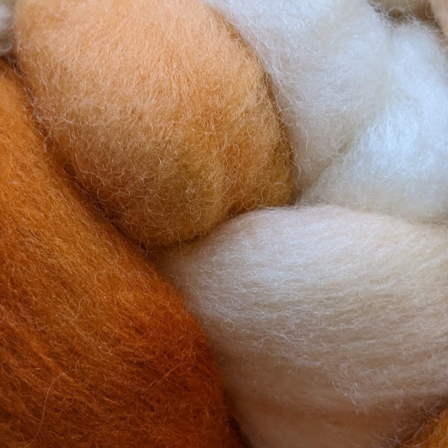 Image of Pumpkin Cream - Combed Top/Wool Roving - 4oz