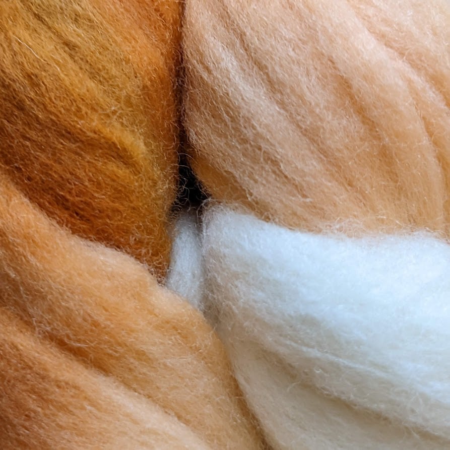 Image of Pumpkin Cream - Combed Top/Wool Roving - 4oz