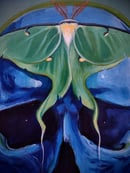 Image 2 of "Lunar Finite"