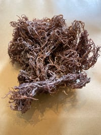 Image 4 of 100% Saint Lucian Seamoss - Wildcrafted