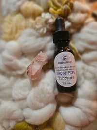 Image of VERY limited batch - 1/2 oz. Monotropa Uniflora (Ghost Pipe) Tincture ♥️