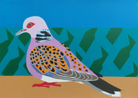 Image 1 of Turtle Dove (Migration Route)