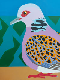 Image 2 of Turtle Dove (Migration Route)