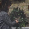 Christmas Forage & Wreath Making In The Garden