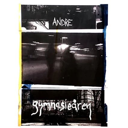 Image of Andre "Gymnasieåren" LP