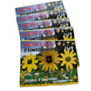 WOW CATS 2024 FLOWER CALENDAR
