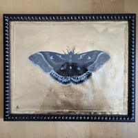 Image 2 of 'Gilded Moth' Original Oil Painting