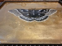 Image 3 of 'Gilded Moth' Original Oil Painting