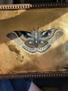 'Gilded Moth' Original Oil Painting