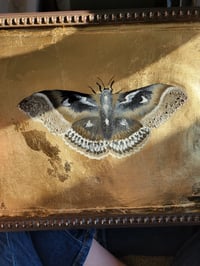 Image 1 of 'Gilded Moth' Original Oil Painting