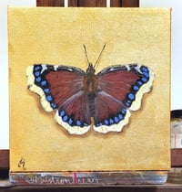 Image 1 of Gilded Mouring Cloak Butterfly Original Oil Painting
