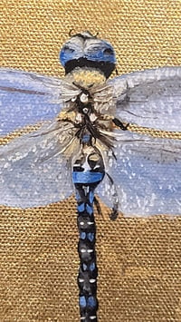 Image 2 of Gilded Blue-Eyed Darner Dragonfly Original Oil Painting