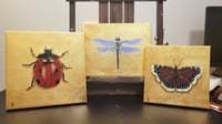 Image 4 of Gilded Blue-Eyed Darner Dragonfly Original Oil Painting